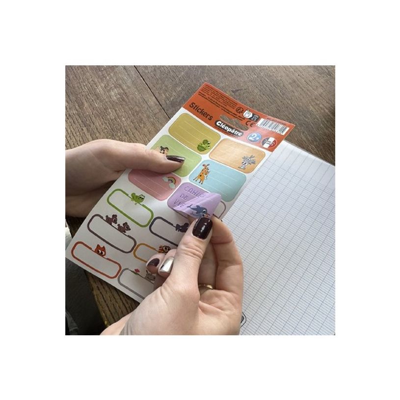 3134725026315-Cléopatre - 12 étiquettes no pack - Maternelle-P_405242588_8-6