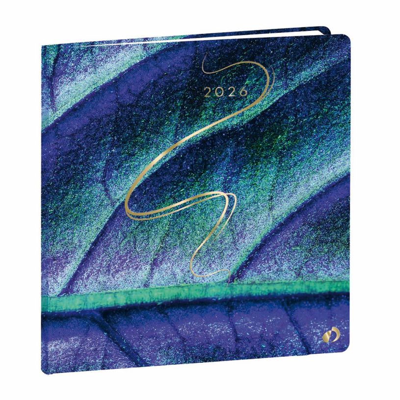 3371010524570-Agenda Année Civile - EXECUTIF FR - Couverture Hipsy - Feuille - 16x16 cm - Semainier - 13 mois de décembre à déc--0