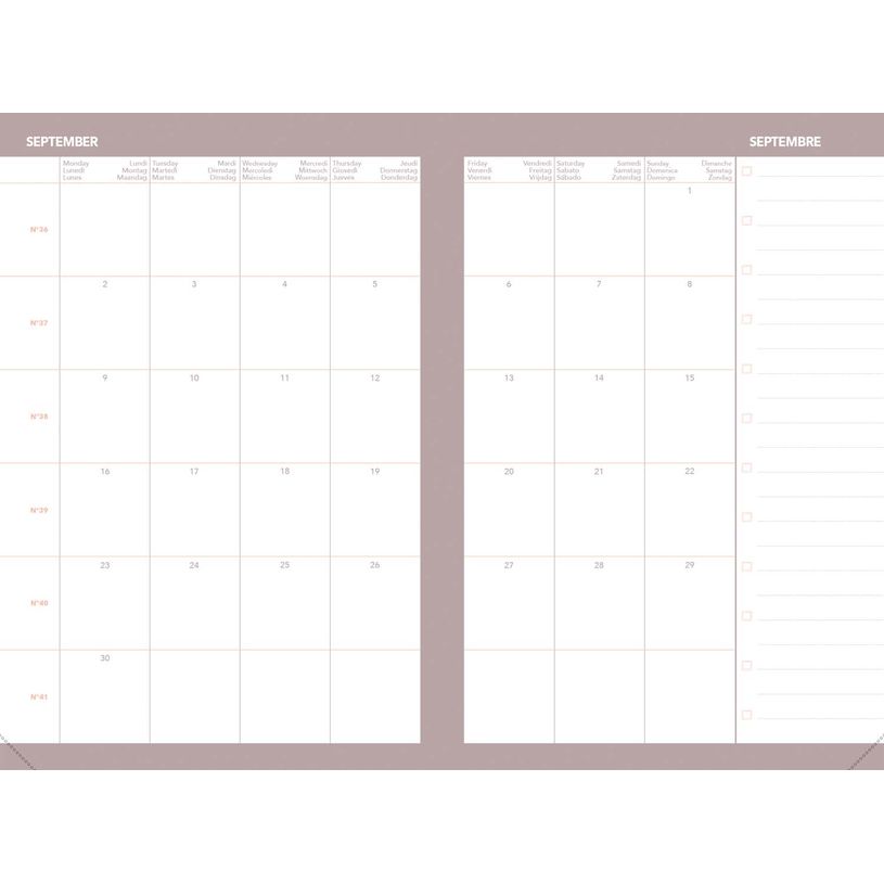 3371010535699-Quo Vadis - Agenda - Affaires Color - Semainier Planning - Multilingue - Pastel - Rose clair - 13 mois de décembre à décembre - 10x15 cm - Papier Clairefontaine blanc - Fabri--2