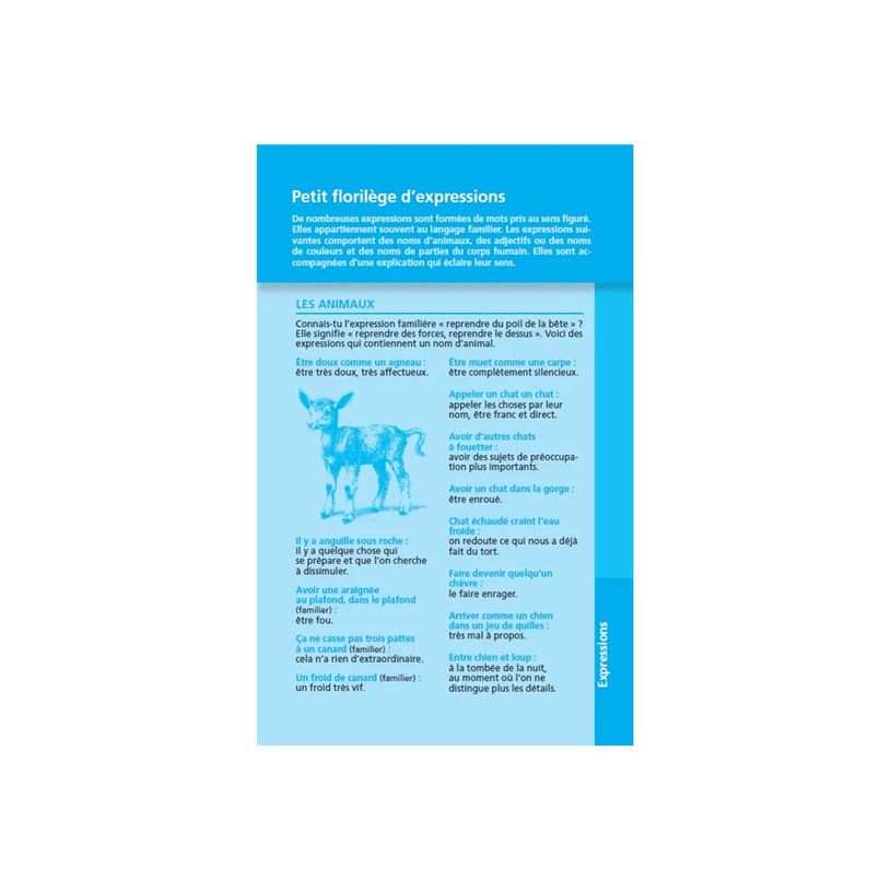 9782036068766-Dictionnaire Larousse Junior Poche Plus 7-11 ans CE-CM-P_405243603_5-4