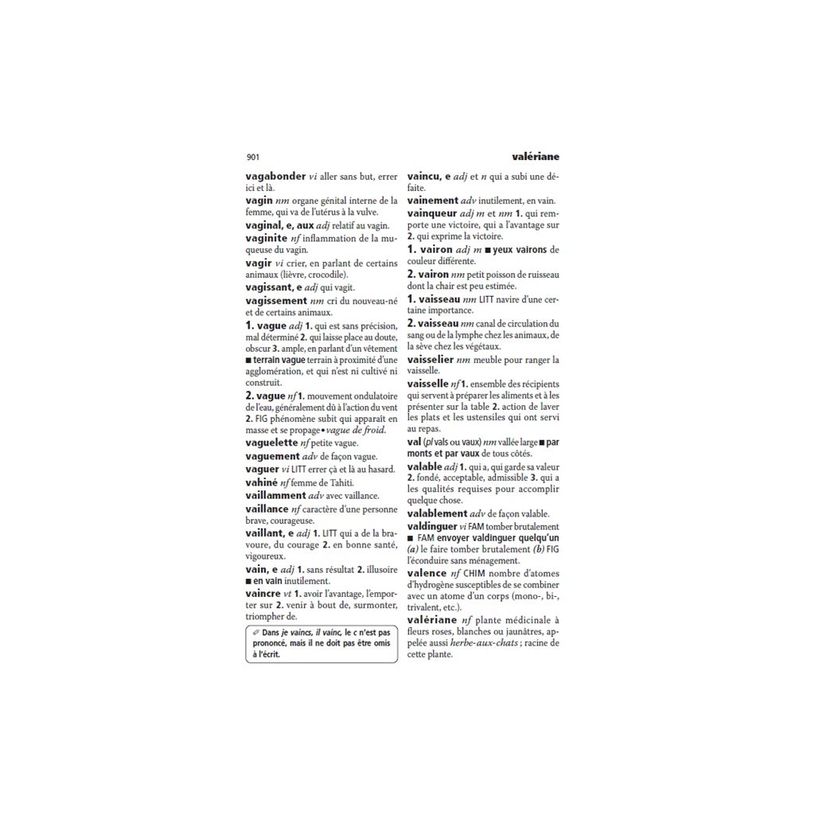 9782036047976-Dictionnaire Mini Plus Larousse-P_405243604_4-1