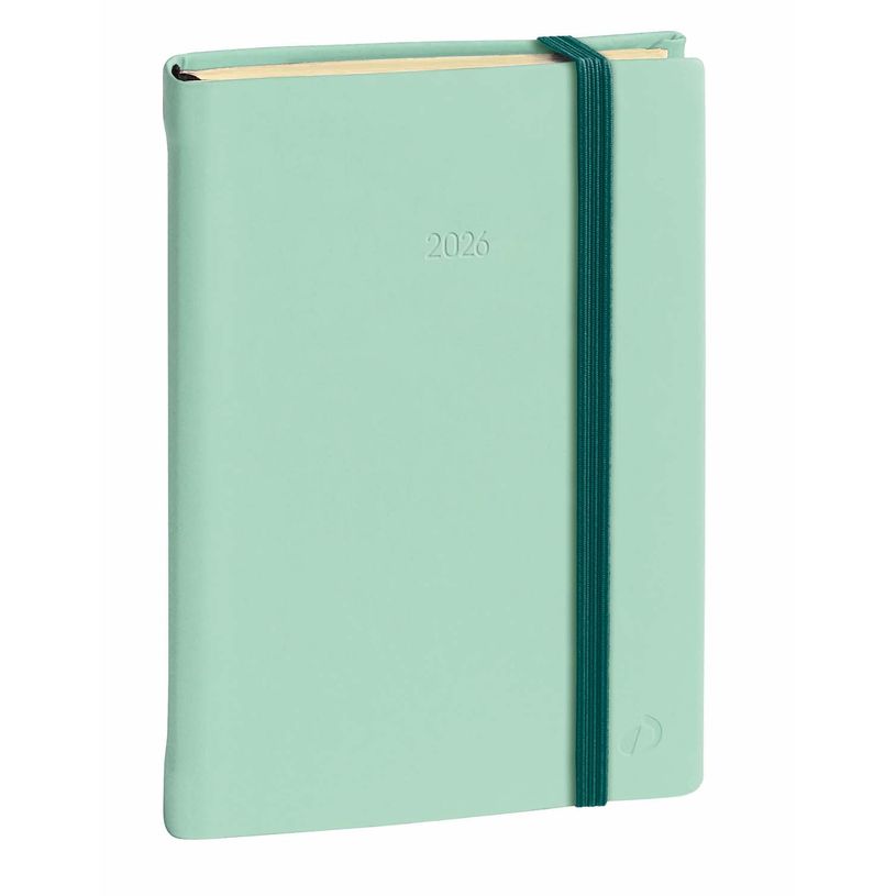 3371010503186-Agenda Année Civile - DAILY 21 PRESTIGE fas Multilingue - Couverture Silk avec élastique - Vert d'eau - 13x21 cm  Journalier - 12 mois de de janvier à déc--0