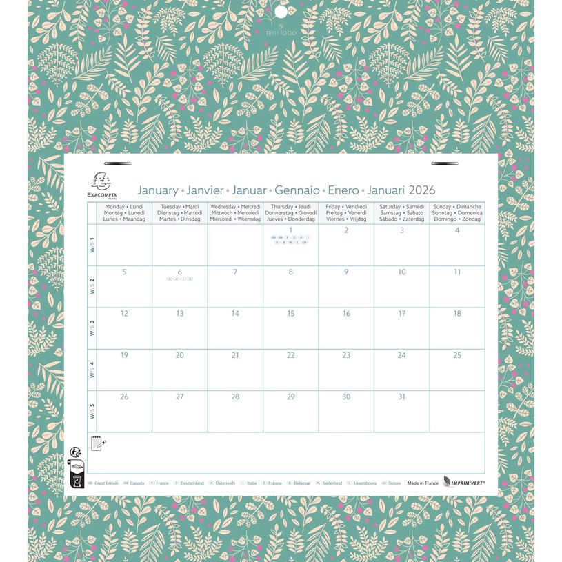 3660942088718-Calendrier mensuel Easycal avec feuillets détachables 24 x 18 cm sur support plaque imprimée Mini Labo 27,5 x 30,5 cm  - disponible dans différentes cou--0