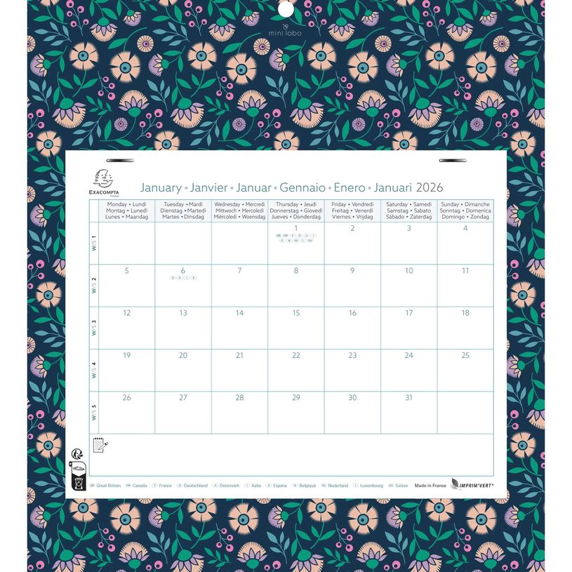 3660942088718-Calendrier mensuel Easycal avec feuillets détachables 24 x 18 cm sur support plaque imprimée Mini Labo 27,5 x 30,5 cm  - disponible dans différentes cou--1