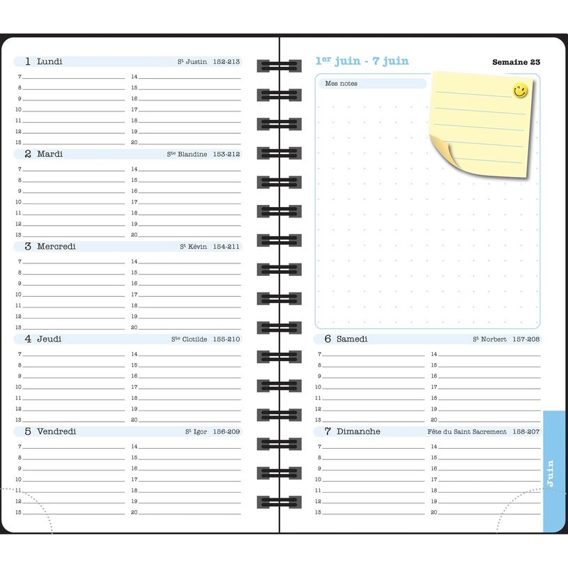 3660942089029-Agenda de poche Dodo & Cath Lady 16S spiralé - 1 semaine sur 2 pages - 9 x 16 cm - Poisson rouge - Exa--5