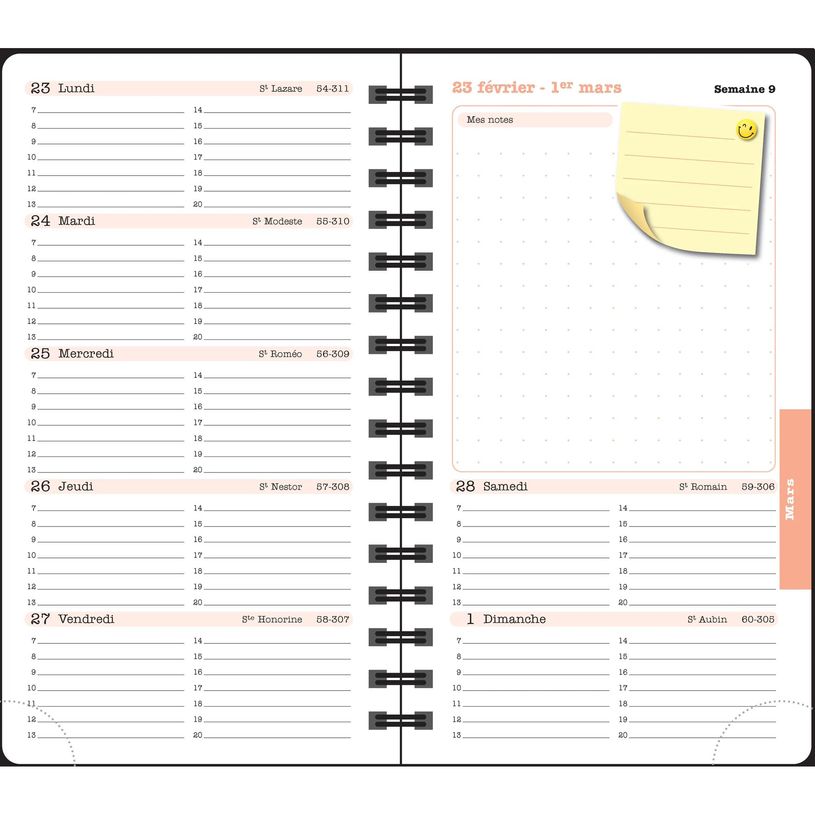 3660942089029-Agenda de poche Dodo & Cath Lady 16S spiralé - 1 semaine sur 2 pages - 9 x 16 cm - Poisson rouge - Exa--8