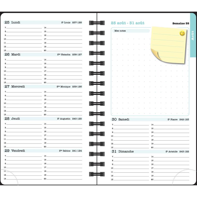 3660942089012-Agenda de poche Dodo & Cath Lady 16S spiralé - 1 semaine sur 2 pages - 9 x 16 cm - Débordée - Exaco--11