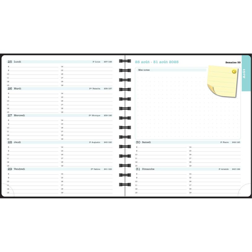 3660942088428-Agenda de bureau Dodo & Cath Lady 18S spiralé - 1 semaine sur 2 pages - 15 x 17 cm - Poisson - Exacom--10