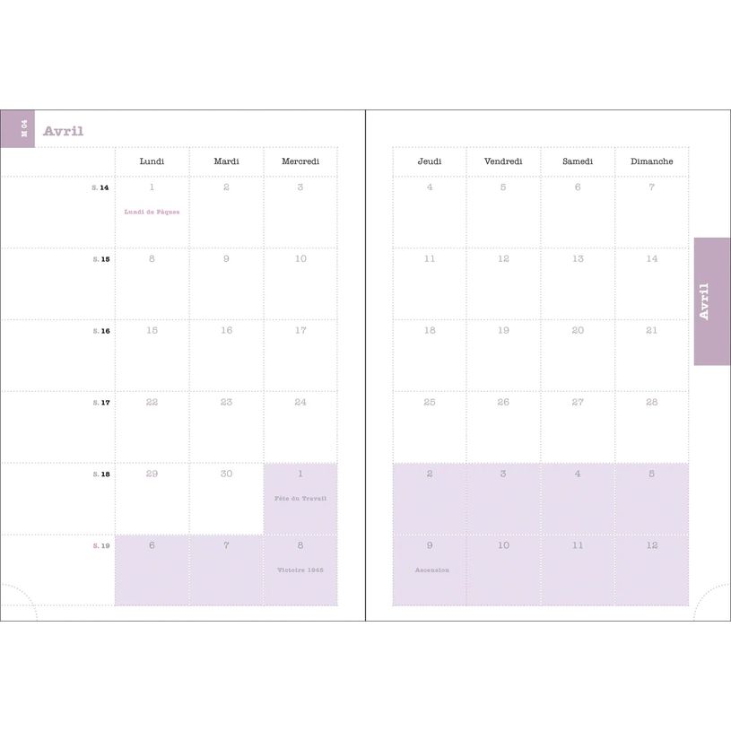 3660942088435-Agenda de bureau Ondine Lady 20 - 1 semaine sur 2 pages - 15 x 21 cm - disponible dans différentes cou--5