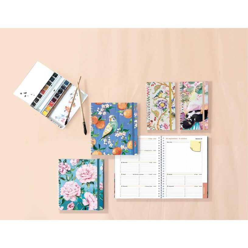 3660942088756-Agenda de bureau Sophie Adde Lady 18S spiralé - 1 semaine sur 2 pages - 15 x 17 cm - Oranges - Exacomp--2
