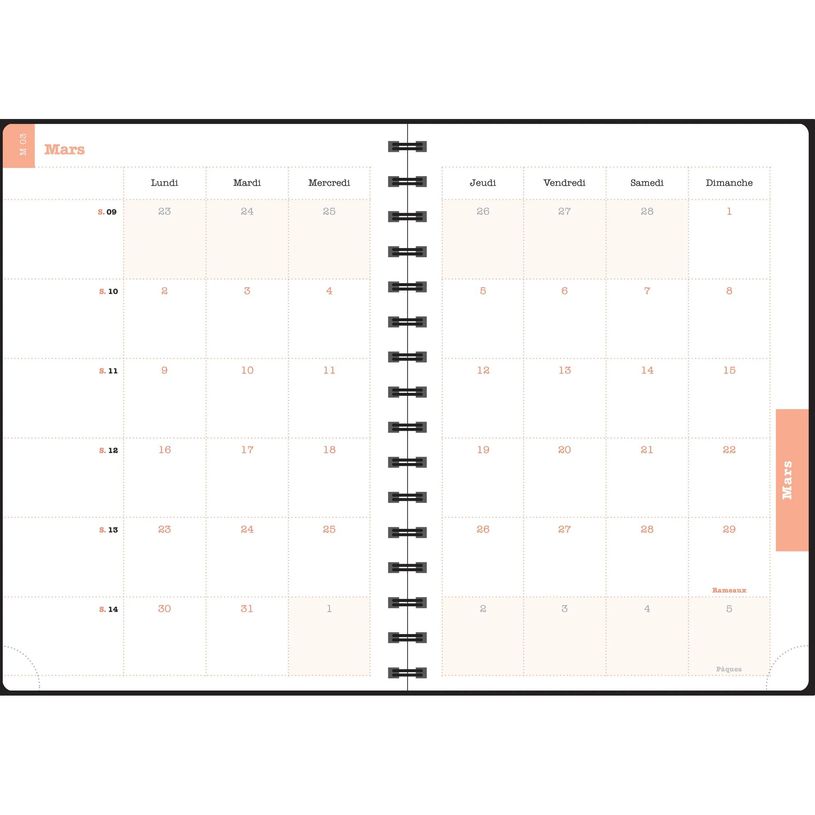 3660942088442-Agenda de bureau Sophie Adde Lady 20S spiralé - 1 semaine sur 2 pages - 15 x 21 cm - Fleurs - Exacompt--9