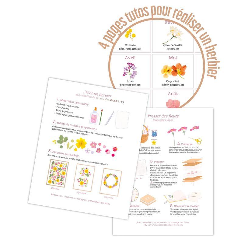 3660942088541-Agenda de bureau Chemin des Marettes Eurotime 22S spiralé - 1 semaine sur 2 pages - 18,5 X 22,5 cm - R--8