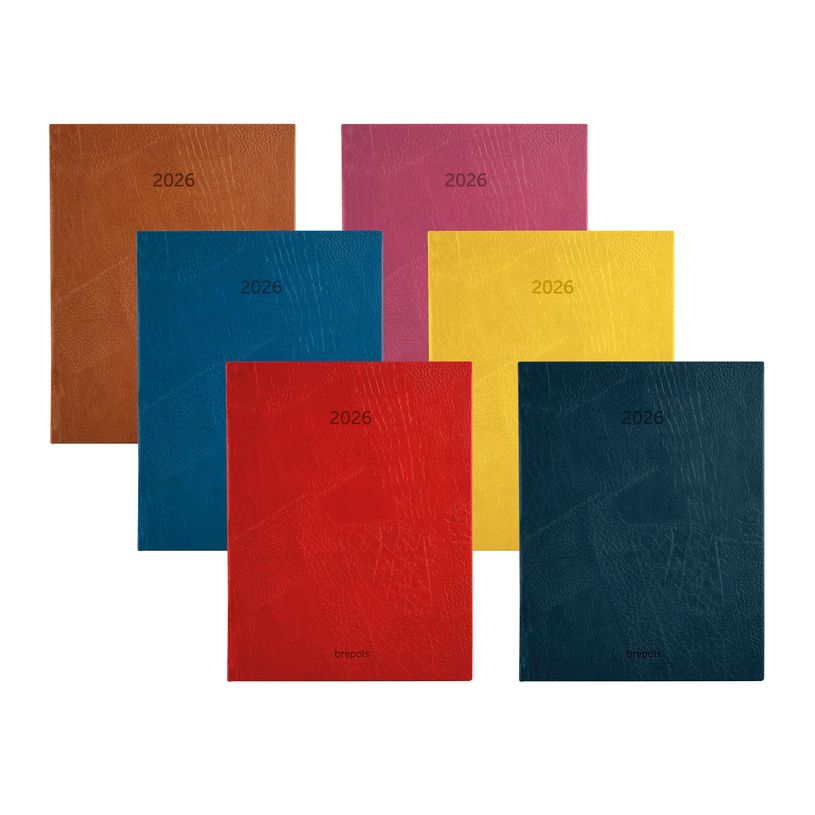 5412303149488-Agenda journalier Optivision Large – format 1L – modèle Lucca – disponible dans différentes cou--0