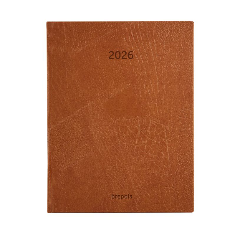 5412303149488-Agenda journalier Optivision Large – format 1L – modèle Lucca – disponible dans différentes cou--3