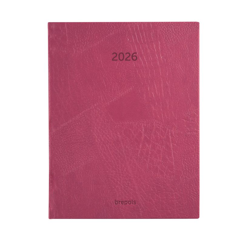 5412303149488-Agenda journalier Optivision Large – format 1L – modèle Lucca – disponible dans différentes cou--7