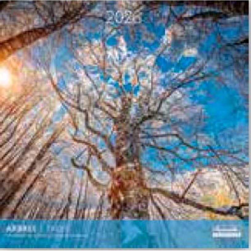 3494150173733-Calendriers 30x30cm 16 mois Aquarupella - Arbres--0