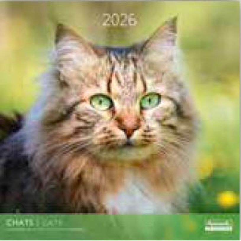 3494150173801-Calendriers 30x30cm 16 mois Aquarupella - Chats--0