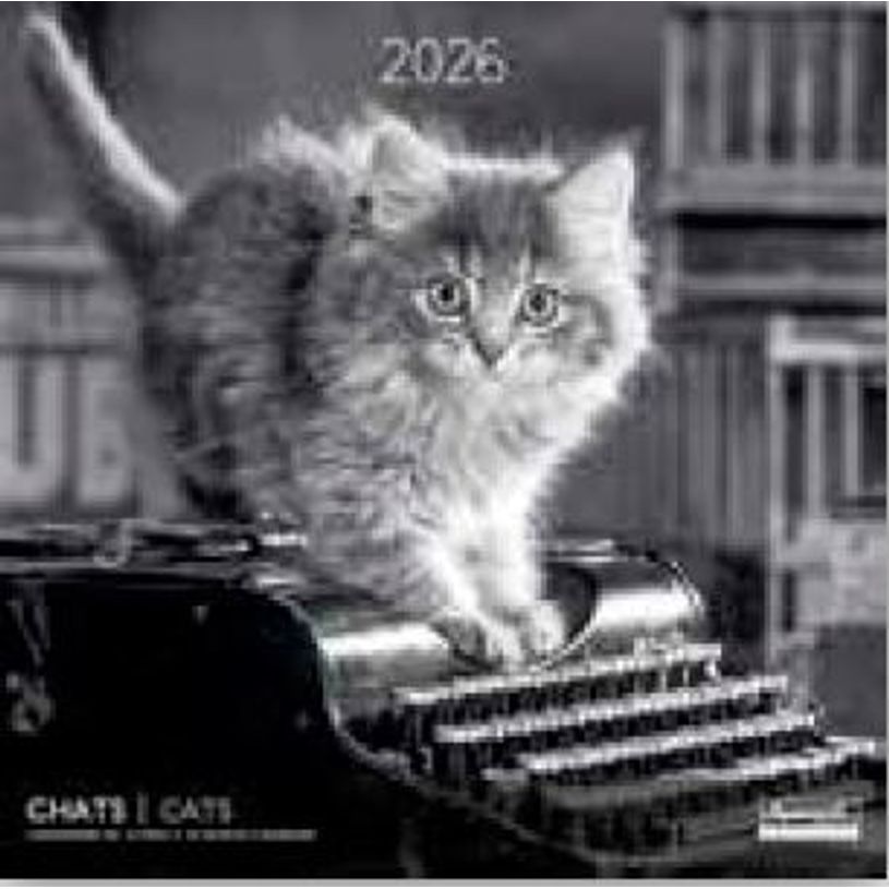 3494150173818-Calendriers 30x30cm 16 mois Aquarupella - Chats N&B--0