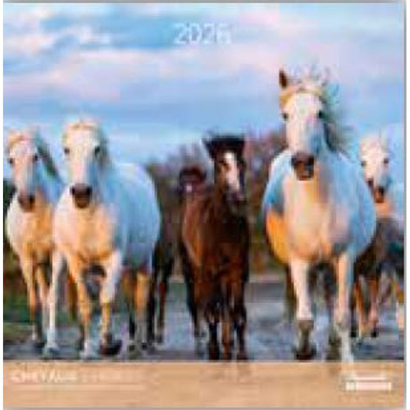 3494150173825-Calendriers 30x30cm 16 mois Aquarupella - Chevaux--0