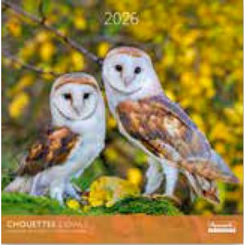 3494150173849-Calendriers 30x30cm 16 mois Aquarupella - Chouettes--0