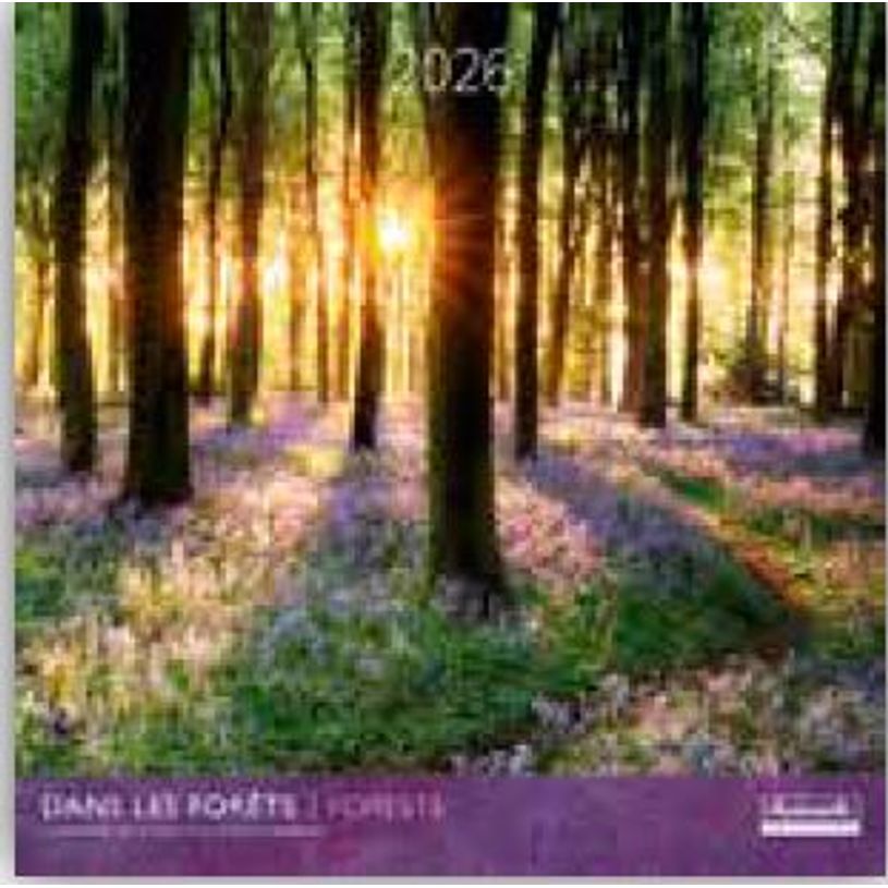 3494150173870-Calendriers 30x30cm 16 mois Aquarupella - Dans les forêts--0