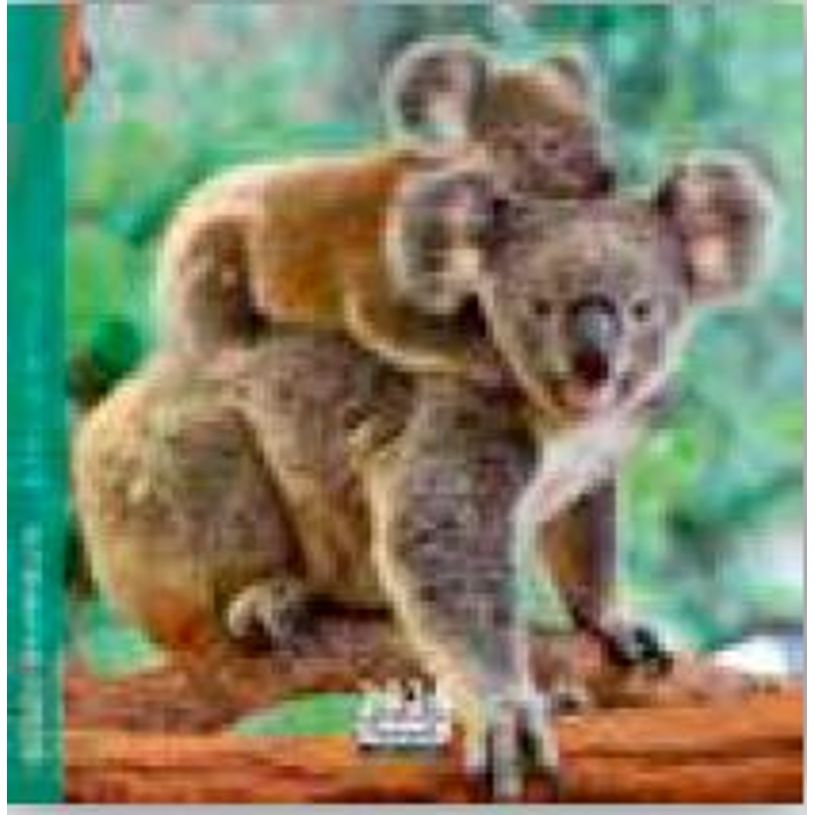 3494150174358-Calendrier 16x16cm 16 mois Aquarupella - Bébés animaux--0