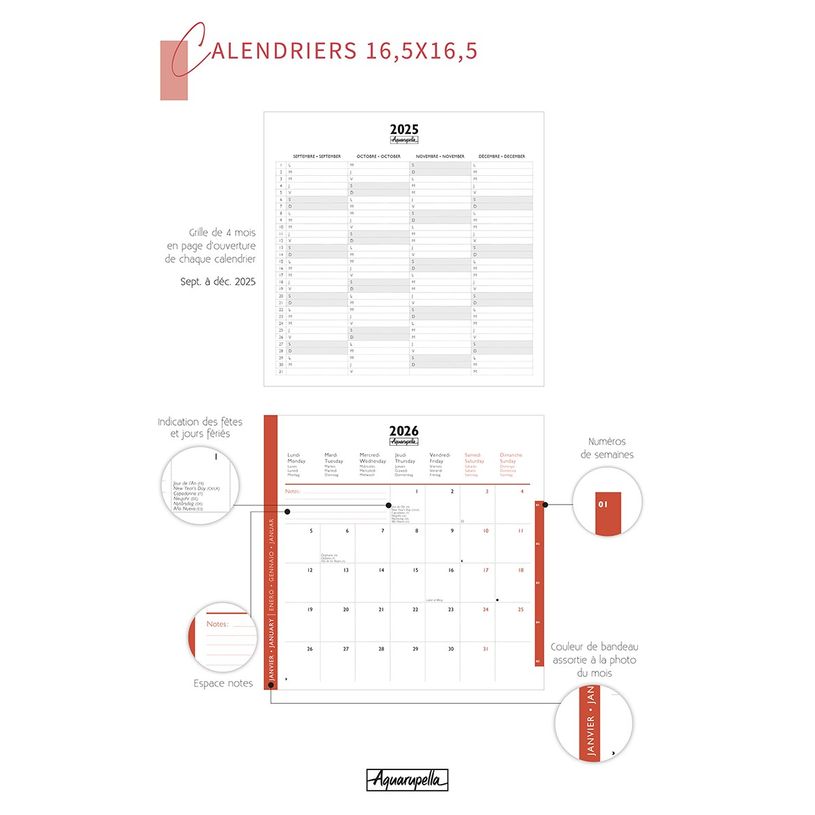 3494150174358-Calendrier 16x16cm 16 mois Aquarupella - Bébés animaux--1