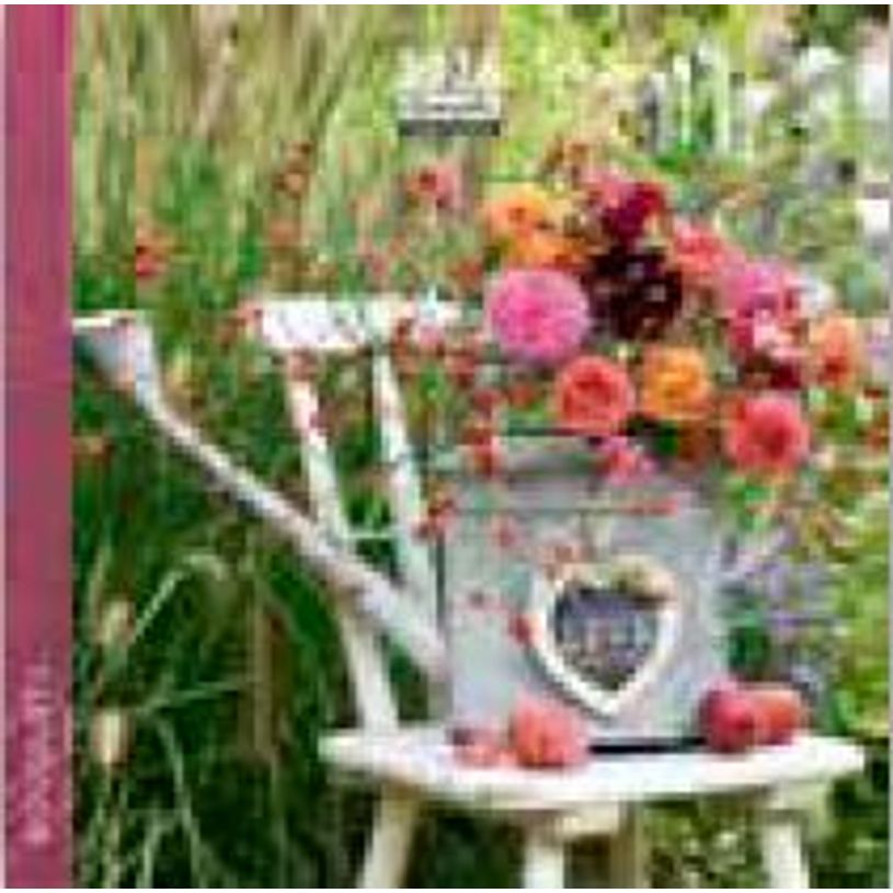 3494150174372-Calendrier 16x16cm 16 mois Aquarupella - Bouquets--0