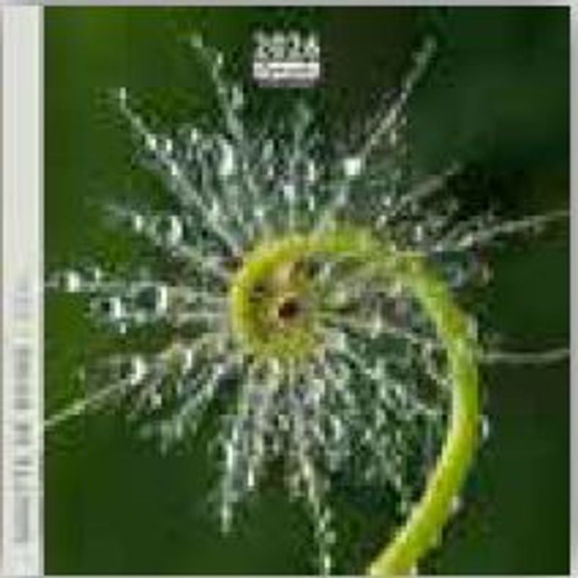 3494150174488-Calendrier 16x16cm 16 mois Aquarupella - Goutte de rosée--0