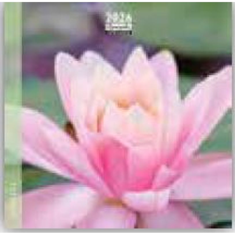 3494150174570-Calendrier 16x16cm 16 mois Aquarupella - Pastel--0