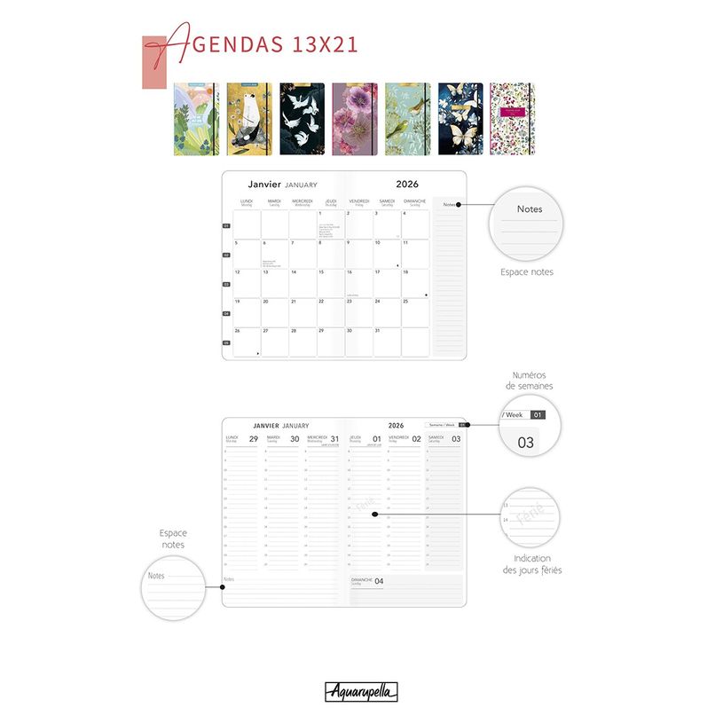 3494150175058-Agenda 13x21cm 12 mois Aquarupella - Chat --1