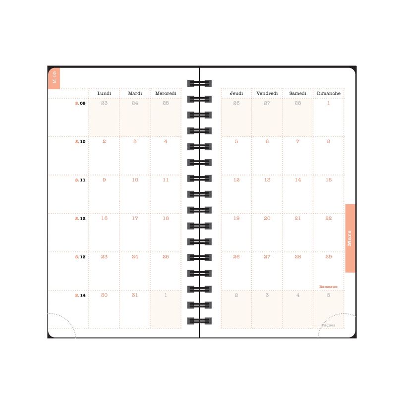 3660942089029-Agenda de poche Dodo & Cath Lady 16S spiralé - 1 semaine sur 2 pages - 9 x 16 cm - Pois-P_405244346_12-12