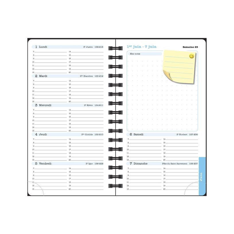 3660942089029-Agenda de poche Dodo & Cath Lady 16S spiralé - 1 semaine sur 2 pages - 9 x 16 cm - Poiss-P_405244346_6-21