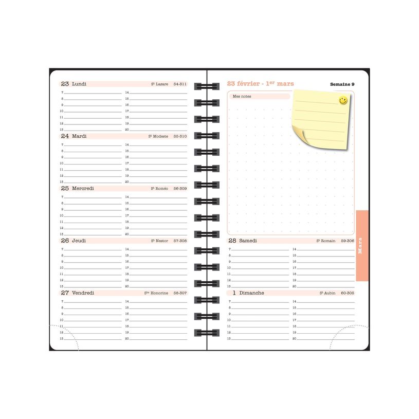 3660942089012-Agenda de poche Dodo & Cath Lady 16S spiralé - 1 semaine sur 2 pages - 9 x 16 cm - Déb-P_405244347_10-13