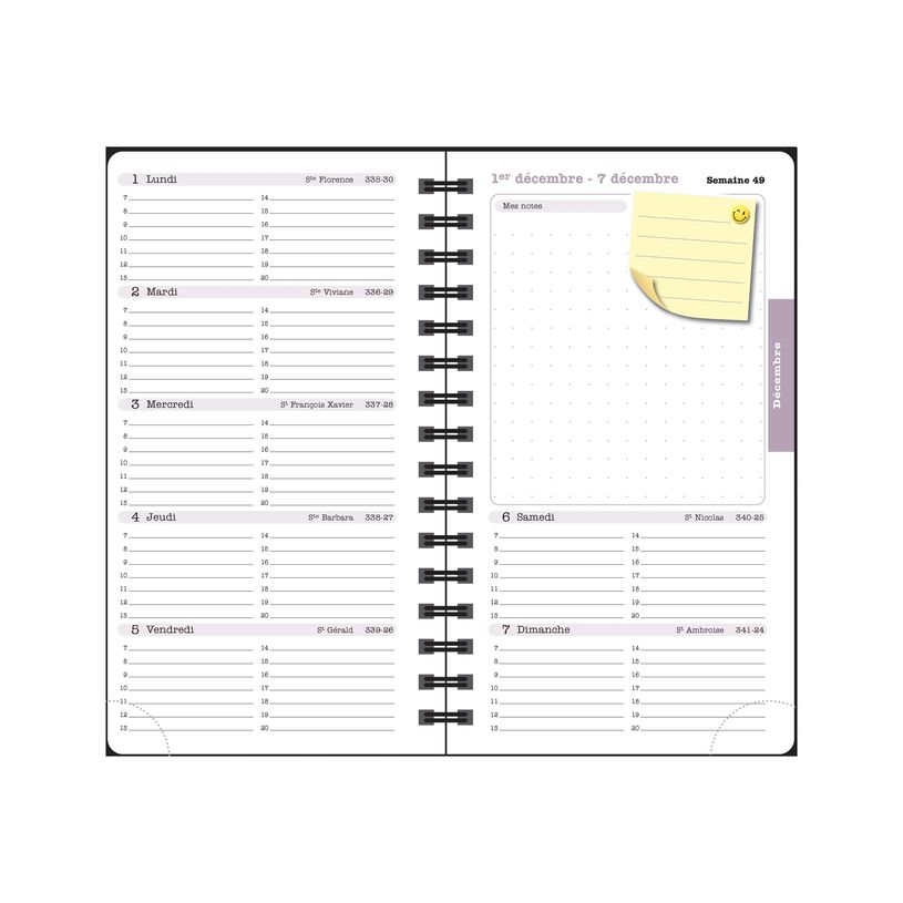 3660942089012-Agenda de poche Dodo & Cath Lady 16S spiralé - 1 semaine sur 2 pages - 9 x 16 cm - Débo-P_405244347_6-15