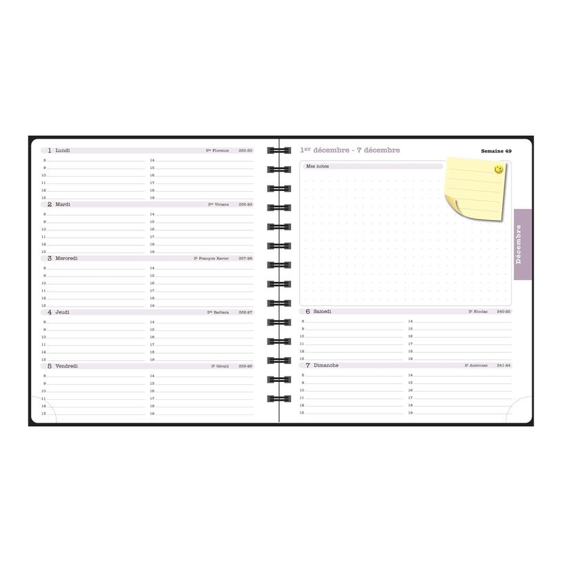 3660942088411-Agenda de bureau Dodo & Cath Lady 18S spiralé - 1 semaine sur 2 pages - 15 x 17 cm - D