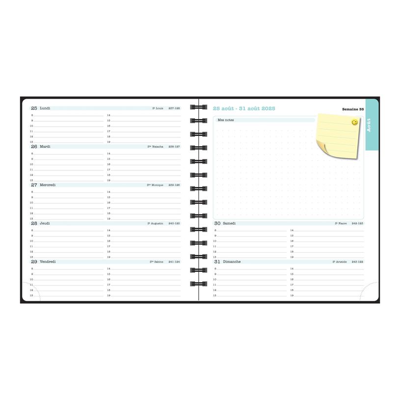 3660942088411-Agenda de bureau Dodo & Cath Lady 18S spiralé - 1 semaine sur 2 pages - 15 x 17 cm - Dé-P_405244349_2-13