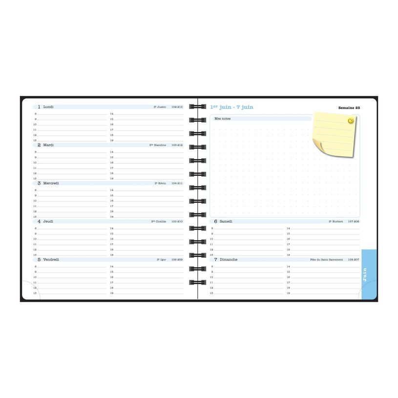 3660942088411-Agenda de bureau Dodo & Cath Lady 18S spiralé - 1 semaine sur 2 pages - 15 x 17 cm - Dé-P_405244349_4-25