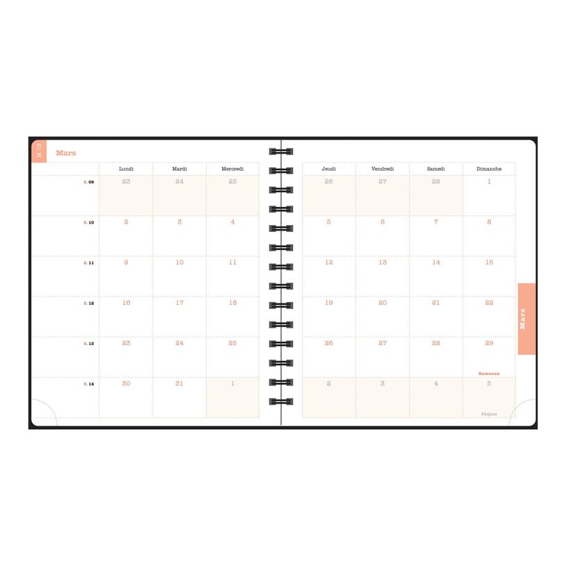 3660942088411-Agenda de bureau Dodo & Cath Lady 18S spiralé - 1 semaine sur 2 pages - 15 x 17 cm - Dé-P_405244349_5-21