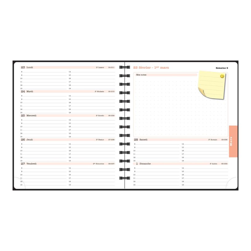 3660942088411-Agenda de bureau Dodo & Cath Lady 18S spiralé - 1 semaine sur 2 pages - 15 x 17 cm - Dé-P_405244349_9-28