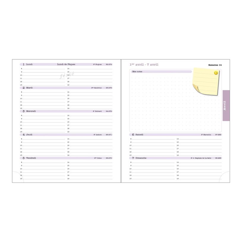 3660942088398-Agenda de bureau Ondine Lady 18 - 1 semaine sur 2 pages - 15 x 17 cm - disponible dans dif-P_405244358_8-8