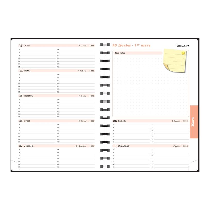 3660942088442-Agenda de bureau Sophie Adde Lady 20S spiralé - 1 semaine sur 2 pages - 15 x 21 cm - Fle-P_405244368_3-18