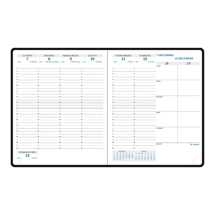 3660942088565-Agenda de bureau Baby Croco Horizons 22 - 1 semaine sur 2 pages - 18,5 X 22,5 cm - disponible dans dif-P_405244374_6-7