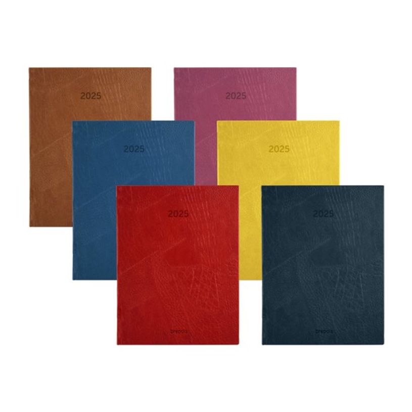 5412303149488-Agenda journalier Optivision Large – format 1L – modèle Lucca – disponible dans dif-P_405244499_1-8