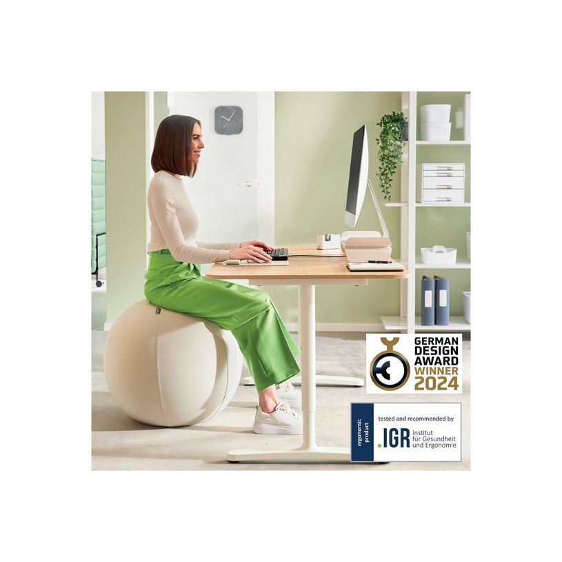 4002432134786-Leitz Ergo - Ballon d'assise ergonomique - Diamètre 75cm - Gris clair-P_405245727_6-9
