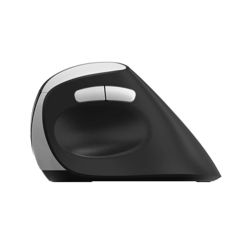 6940056135315-Rapoo EV250 - Souris sans fil ambidextre - Noir-P_405245876_3-2