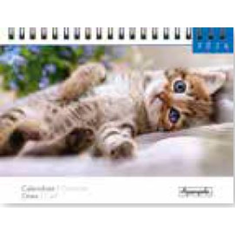 3494150174907-Calendrier chevalet 16x18cm 12 mois Aquarupella -Chats--0