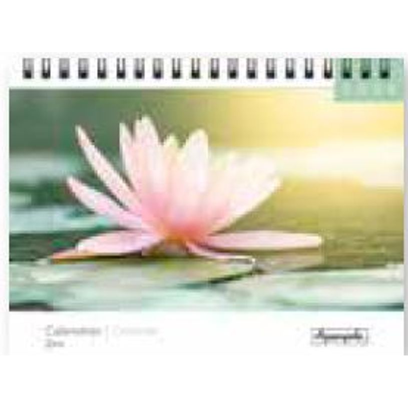 3494150174938-Calendrier chevalet 16x18cm 12 mois Aquarupella - Zen--0