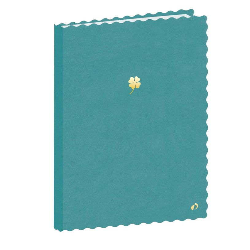 3371010513611-Quo Vadis - Carnet de notes - Festy - Vert - Pages Lignées - 15x21 cm - Papier Clairefontaine blanc - Fabri--0