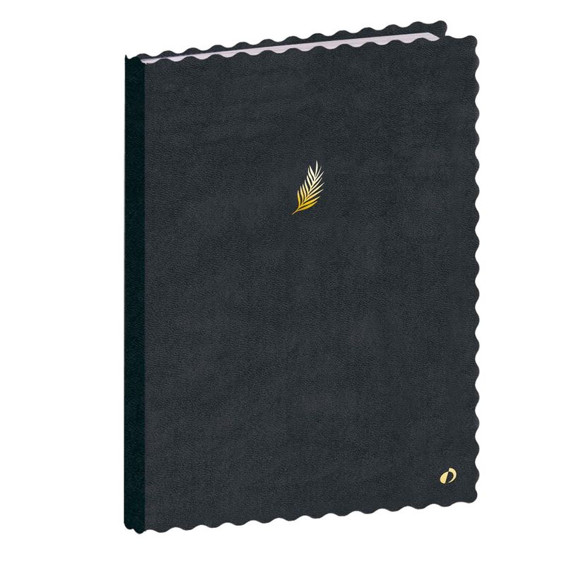 3371010513604-Quo Vadis - Carnet de notes - Festy - Noir - Pages Lignées - 15x21 cm - Papier Clairefontaine blanc - Fabri--0